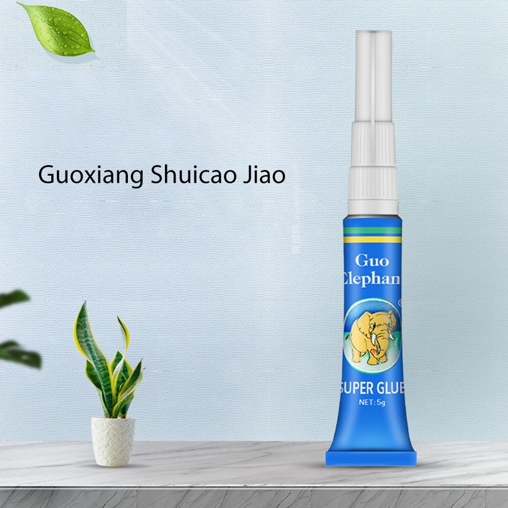 Aquarium Plant Glue - 水槽造園用モス接着剤、水草固定用接着剤、水生植物、流木、水中ジェル