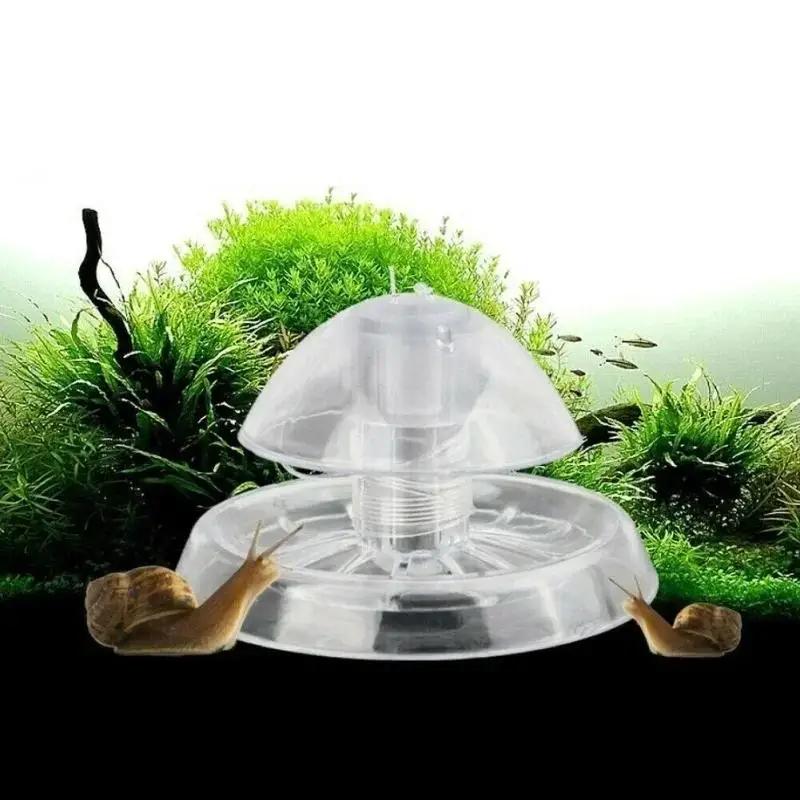 2026年新発売 6/8CM 透明プラスチック製カタツムリ捕 - Aquarium Planted Fish のレビューと価格