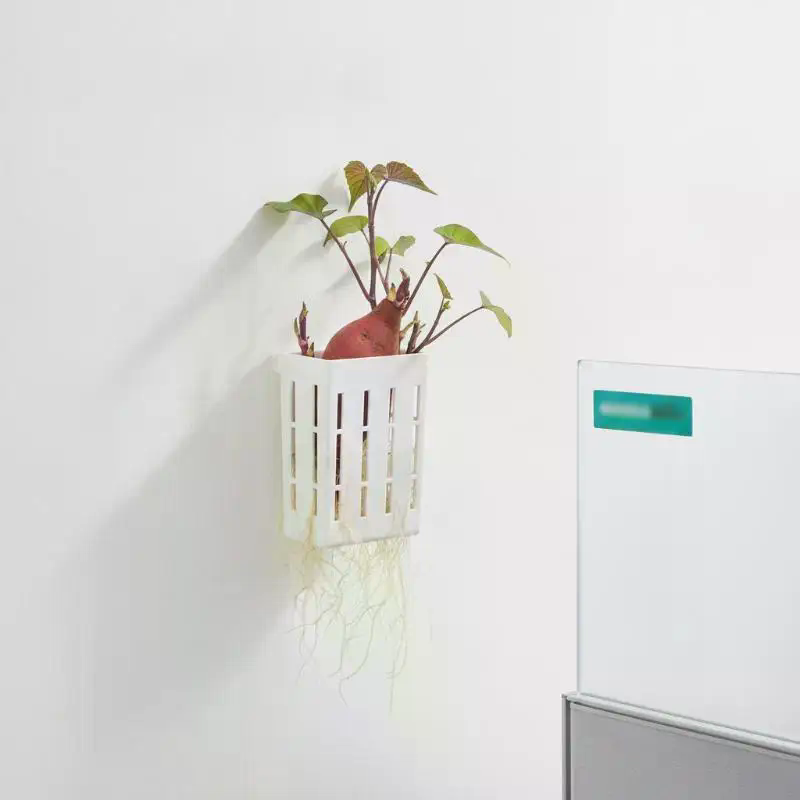 水耕栽培用サポートバスケット1個、水槽用植栽カップ、水草水生 - Aquarium Planted Fish のレビューと価格