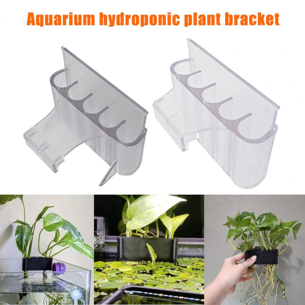 4.5/6.5 センチメートル水族館植物ホルダー水槽植物スタ - Aquarium Planted Fish のレビューと価格