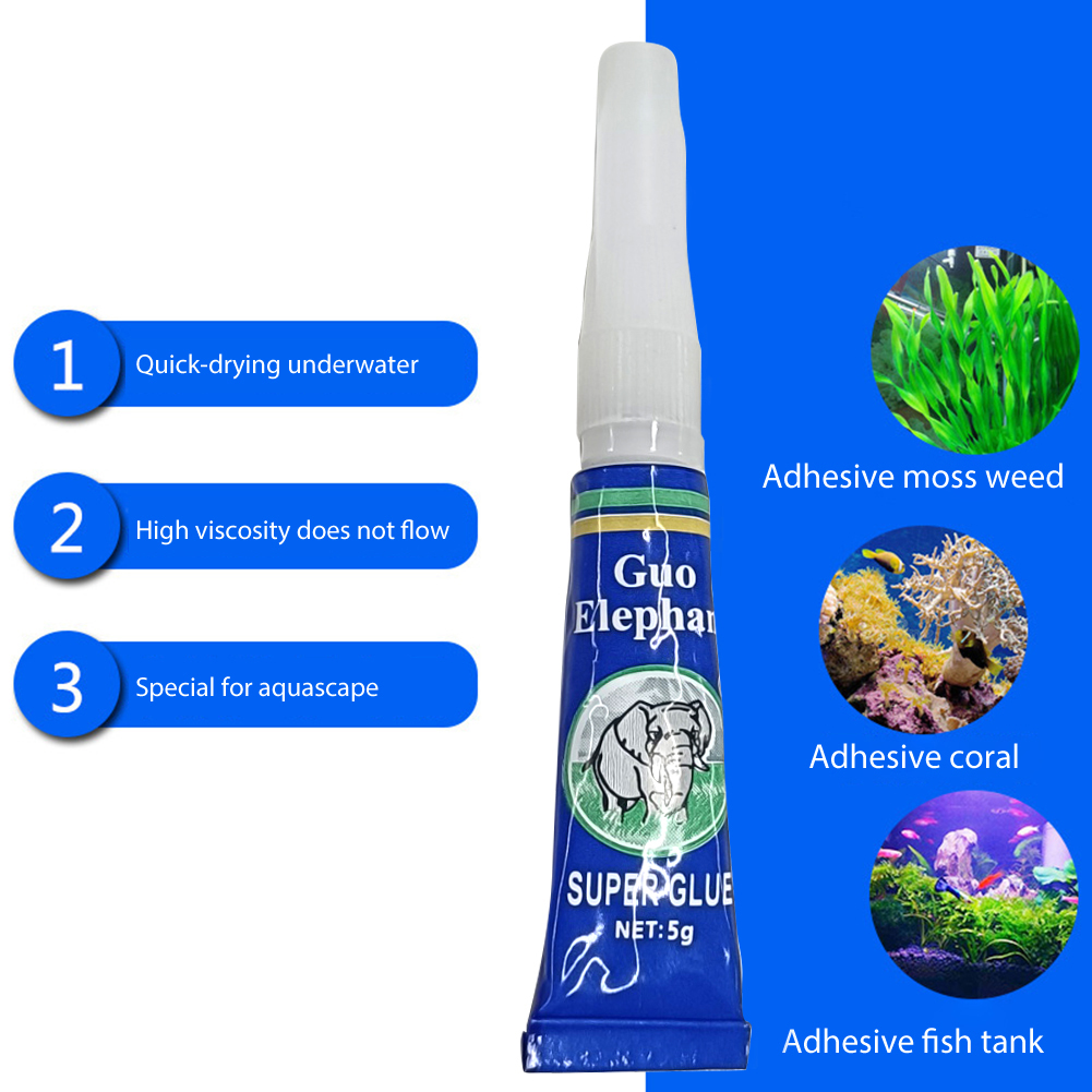 5-30個入り 水草接着剤 魚タンク サンゴ礁飾り フラグス - Aquarium Plant Glue のレビューと価格