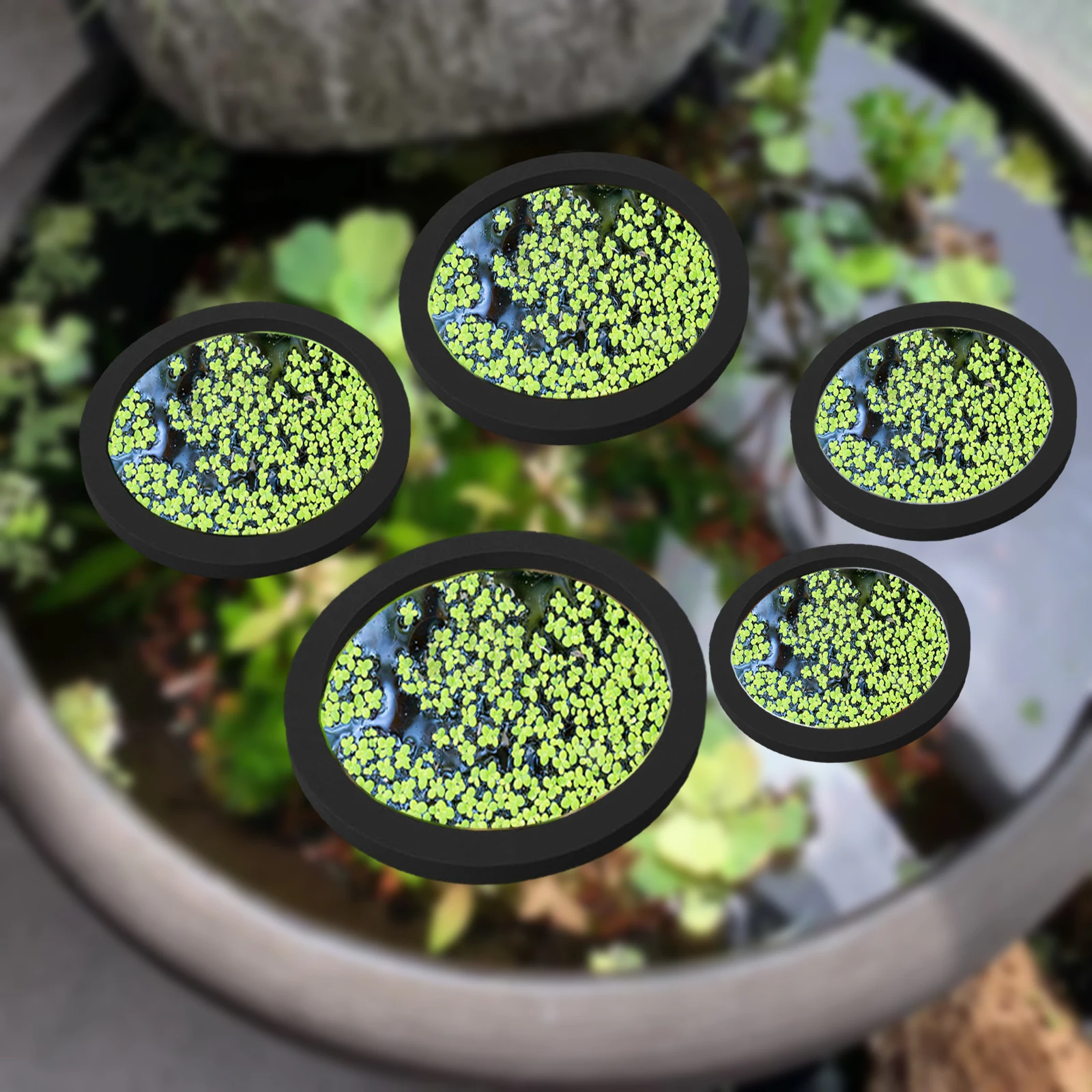 5 個 EVA 魚給餌リング水族館浮遊植物囲い水槽フロート植 - Aquarium Planted Fish のレビューと価格