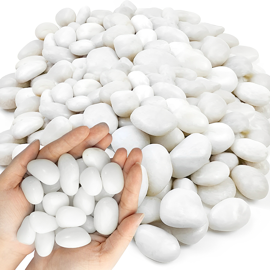 1/2ポンド 白色磨き済み水槽用小石 滑らかな水槽用砂利 ア - Aquarium Sand White のレビューと価格