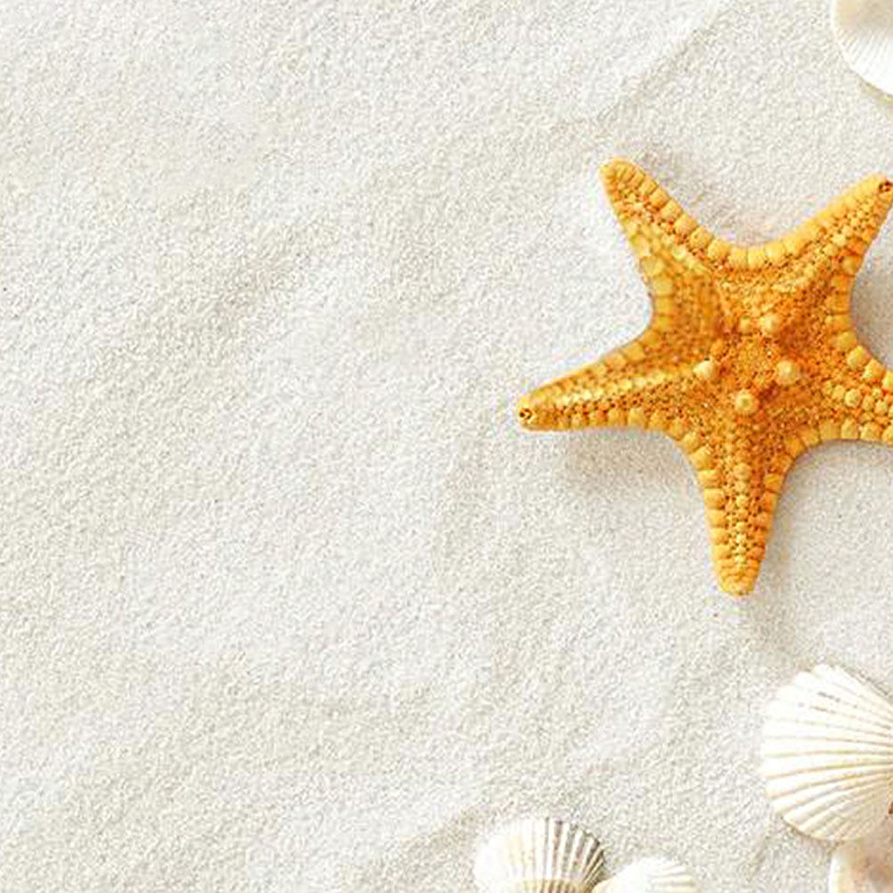 5パック 80g ホワイトサンド 水槽装飾 魚タンク砂 家庭 - Aquarium Sand White のレビューと価格